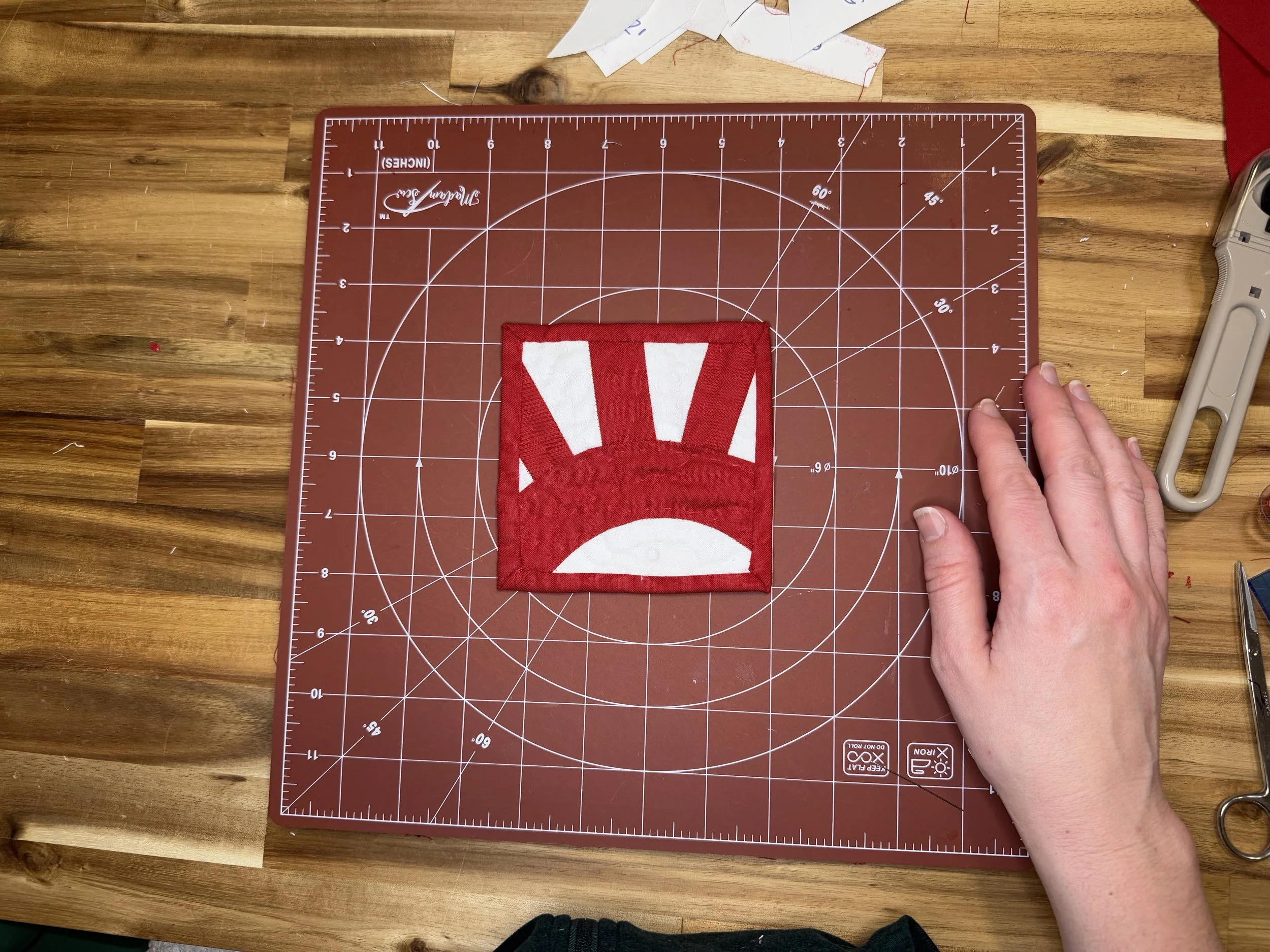 EPP Aorta Coaster Template